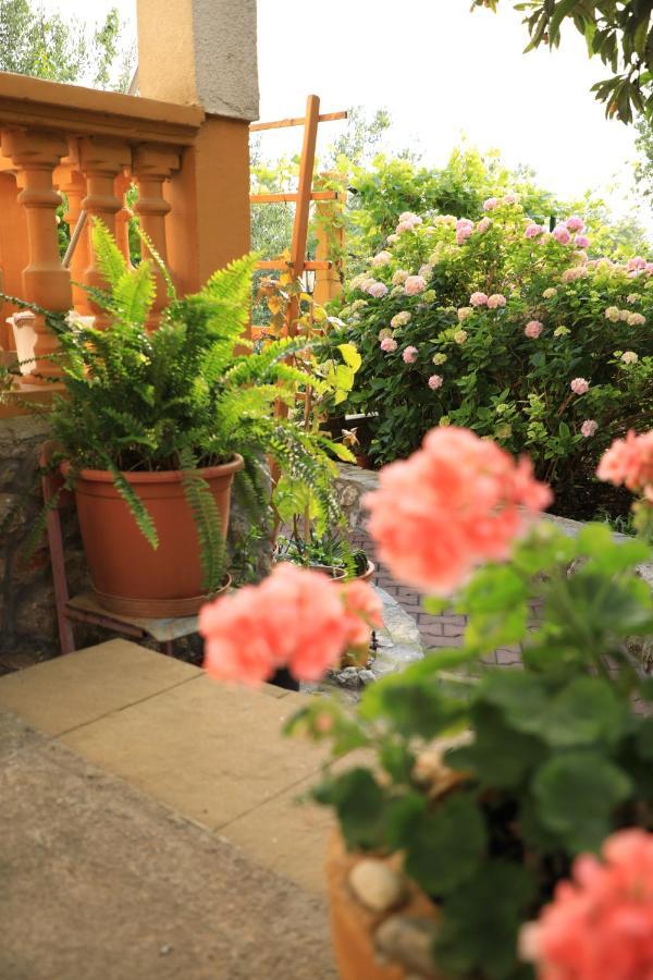 Apartmani Sarlija Pakoštane Buitenkant foto